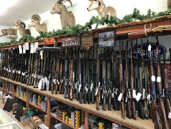 Picture of Guns on Rack